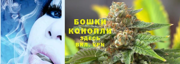 ГАЛЛЮЦИНОГЕННЫЕ ГРИБЫ Нефтекумск