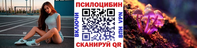 KRAKEN ссылка  Лукоянов  Галлюциногенные грибы прущие грибы 