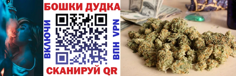 где купить Лукоянов Конопля семена